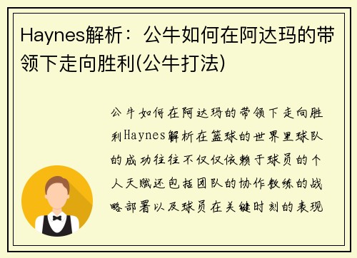 Haynes解析：公牛如何在阿达玛的带领下走向胜利(公牛打法)