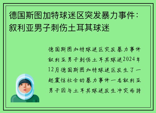 德国斯图加特球迷区突发暴力事件：叙利亚男子刺伤土耳其球迷