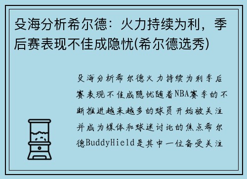 殳海分析希尔德：火力持续为利，季后赛表现不佳成隐忧(希尔德选秀)